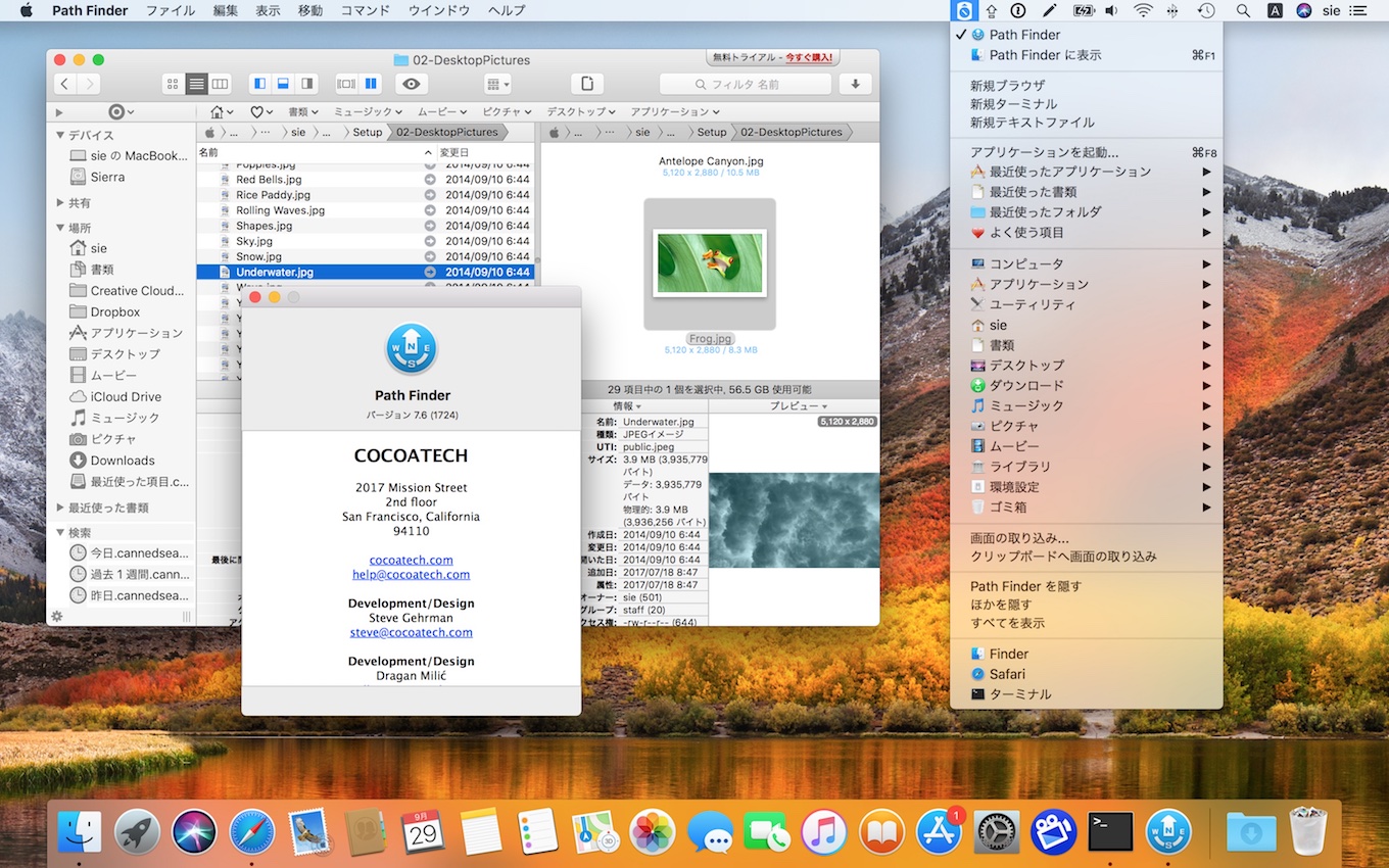 dropbox download mac without login